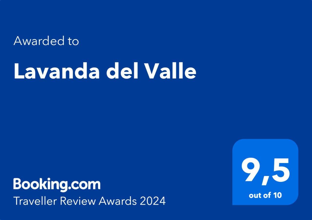 Lavanda Del Valle Vicuña Exterior foto