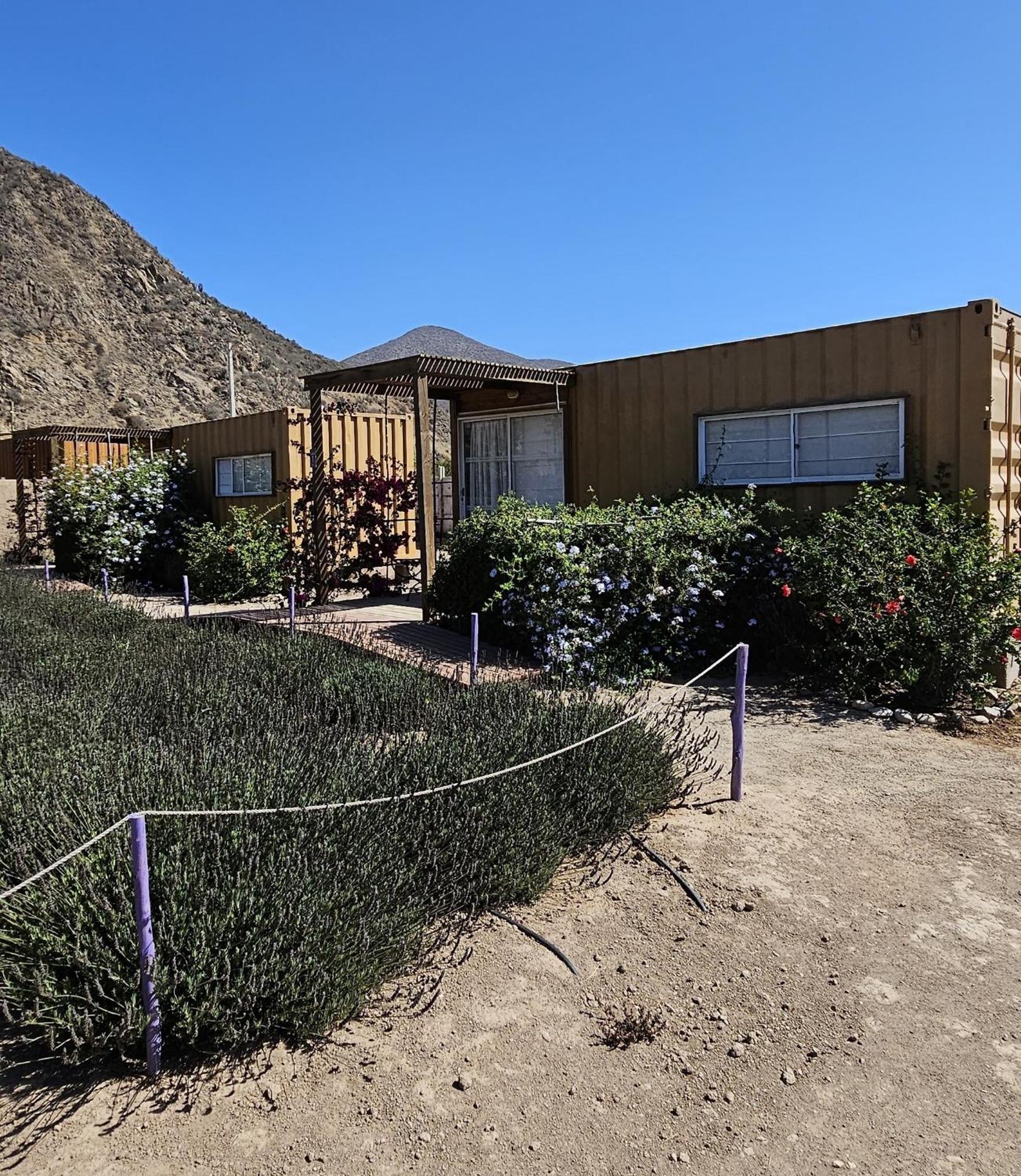 Lavanda Del Valle Vicuña Exterior foto